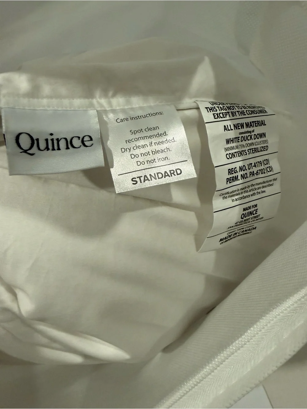 New Quince Premium Down Pillow #2 Standard Firm MSRP $114